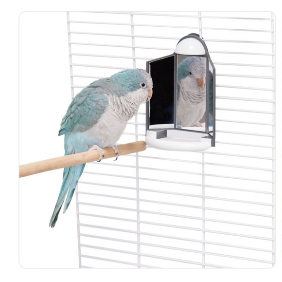 All Things Vanity Bird Mirror - Picture 5 of 5